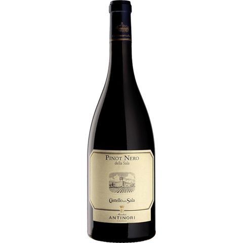 PINOT NERO DELLA SALA UMBRIA IGT ROSSO 2021