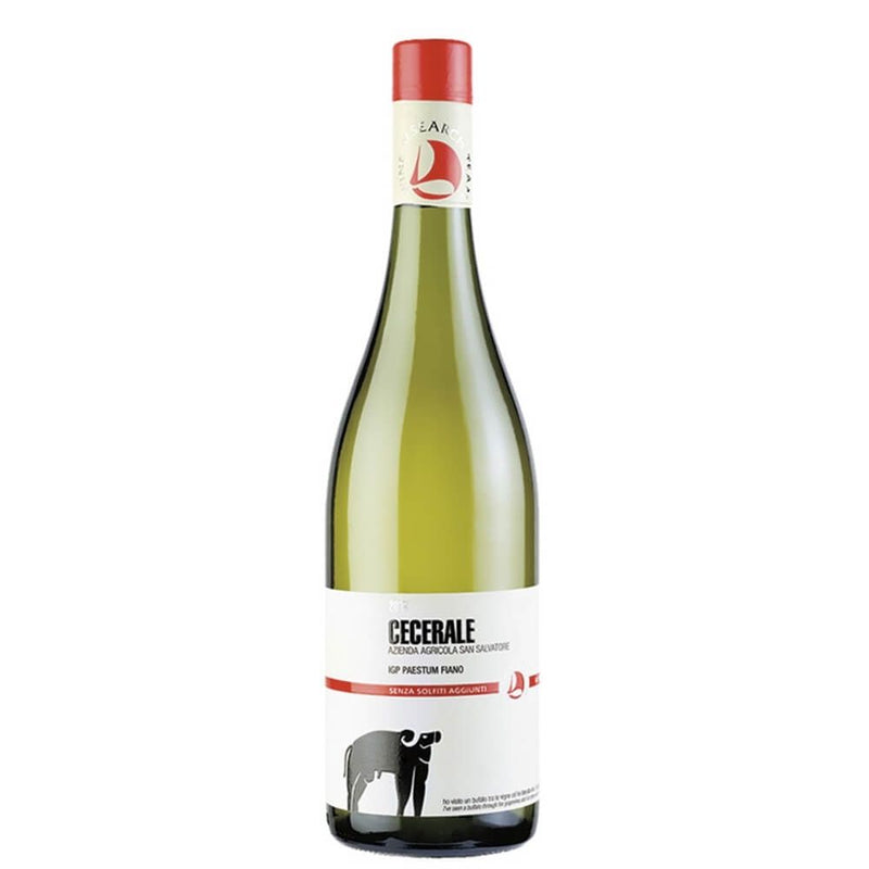 FIANO CECERALE PGI PAESTUM 2021